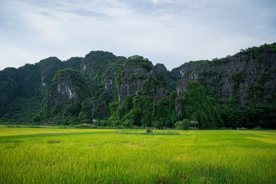 Kho gạo của Đoàn Văn Vinh